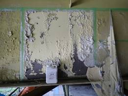 ハクリタイトエコ ST1